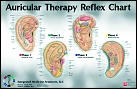 Auricular Therapy Reflex Charts