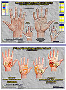 Three Phase Hand Charts