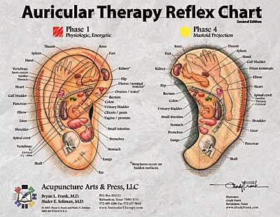 Auricular Therapy Ear Chart
