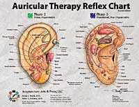 Auricular Therapy Ear Chart